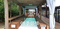 나트륨 섭취 줄이기... 천일염이 대안