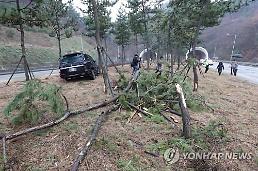 남해고속도로 17중 추돌 사고 원인 블랙 아이스 무엇? 운전자 조금 젖은 것으로 착각