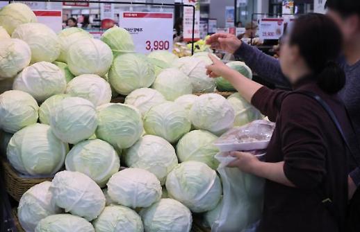 高价白菜催生新趋势 白菜辛奇替代品销量激增