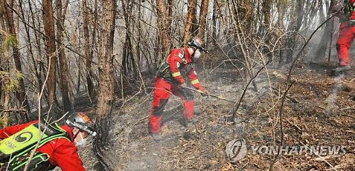 하동 산불, 경남도 91㏊ 피해...21시간 만에 잡혔지만 진화대원 1명 숨져