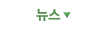 뉴스