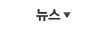 뉴스