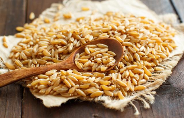 해외선 이미 유명한 카무트 쌀...다이어트·당뇨 효과 뛰어난 '슈퍼 푸드' | 아주경제