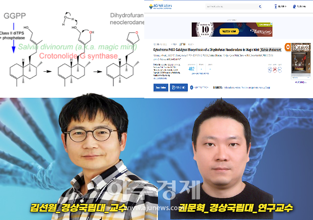 경상국립대 ABC-RLRC 연구팀, 차세대 항정신 의약품 소재 최초 발견 外