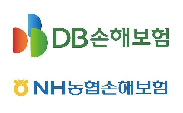DB·NH손보, 종합보험 보험료 5~7% 내렸다