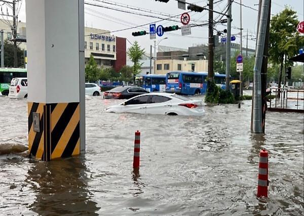 80년 만의 폭우에 침수차 속출...대처·관리법은?