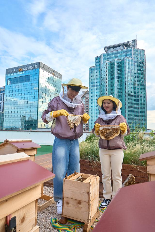 KB금융, 여의도 본점 옥상 K-Bee 도시양봉장서 첫 꿀 수확