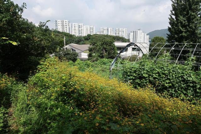 서울시, 그린벨트 토지거래 집중 조사 나선다…투기 차단