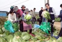 배추 산지 찾은 한덕수 도매가 낮아져 다행…안정 찾을 때까지 만전