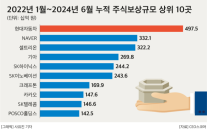 대기업 최근 30개월동안 4.5조 주식보상…현대차 최대