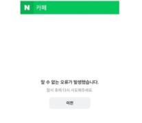 네이버 카페와 뉴스 댓글 접속 장애