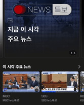 탄핵 선고 인용에...웨이브, 동시 접속자 폭증 지상파 특보 시청 몰려
