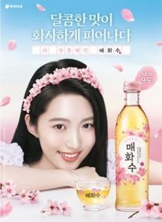 하이트진로, 매화수 새단장…알코올 도수 9도로 낮춰 