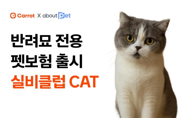 [보험업계 스냅샷] 캐롯손보, 어바웃펫과 함께 반려묘 전용 펫보험 실비클럽 CAT 출시 外