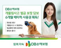 [보험업계 스냅샷] DB손보, 개물림사고 벌금 보장 담보 6개월 배타적 사용권 획득 外