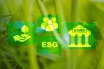 정진완標 우리은행 ESG금융 순항…K-택소노미 시스템 눈길