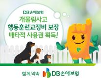 [보험업계 스냅샷] DB손보, 개물림사고 행동교정훈련비 보장 담보 9개월 배타적 사용권 획득 外