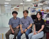 KAIST, 술 마시면 간세포가 자폭 신호…세계 최초로 밝혀낸 비밀
