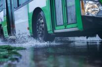 7월 집중 호우로 자동차 3000여대 피해...車보험 손해액 약 300억원