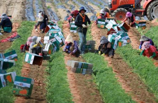 超三成在韩外籍劳工集中首都圈 E-9签证区域失衡显现