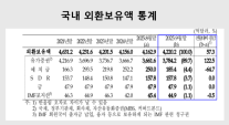 지난달 국내 외환보유액 4220억 달러...4달째 증가세 유지