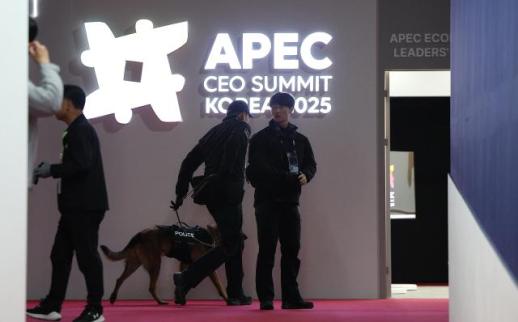  【2025 APEC】APEC工商领导人峰会在庆州开幕 聚焦AI生态系统与未来科技