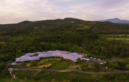 공간으로 읽는 호텔의 미학 ① 포도호텔, 공간이 호흡하는 휴식의 성전