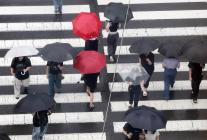 서울 여행 첫날 참변…음주운전 차량에 母 잃은 일본인 딸의 절규