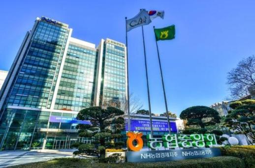 호실적 대열서 비켜난 농협금융…농지비 구조가 걸림돌