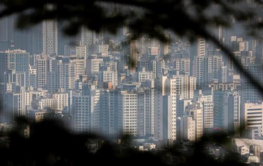 규제 피로감이 법정으로… 10·15 대책, 시장의 반격이 시작됐다