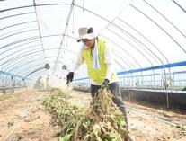 NH농협손보, 지역사회공헌 인정기업 5년 연속 선정