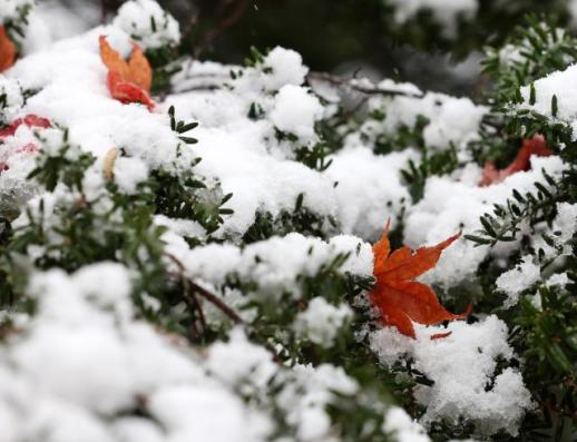 秋天再见！江原道山顶被白雪覆盖