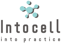 인투셀, 고형암 치료제 임상1상 FDA IND 승인