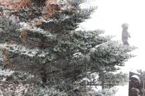 수도권 퇴근길 짧은 강설 예상…빙판길 사고 주의