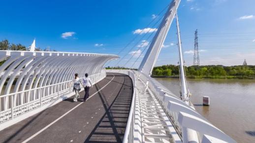 푸둥 선도구 건설 5주년: 고품질 발전으로 도시의 온기를 채우다