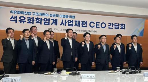 산업부·석화企 CEO 간담회 내년 구조개편 추진의 해