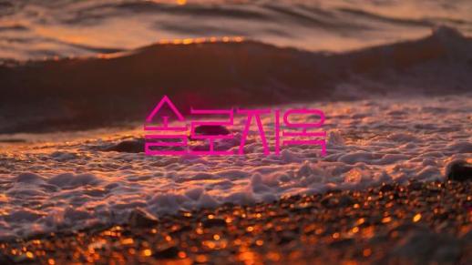 《单身即地狱》第五季下月全球上线 成首个迎来五季的奈飞韩综