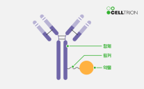 [2026 ED 신년기획] 제약·바이오 판을 읽다② 280억 달러 시장 노린다…ADC에 쏠리는 제약·바이오의 시선
