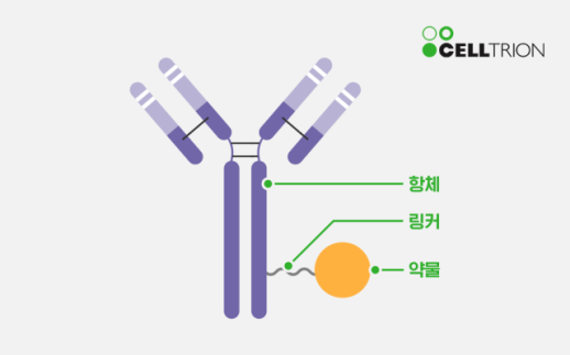 [2026 ED 신년기획] 제약·바이오 판을 읽다② 280억 달러 시장 노린다…ADC에 쏠리는 제약·바이오의 시선
