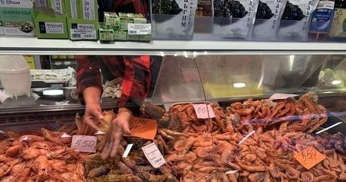 해수부, 내년 수산물 안전성 조사 2만2500건 실시…전 품목 관리 강화