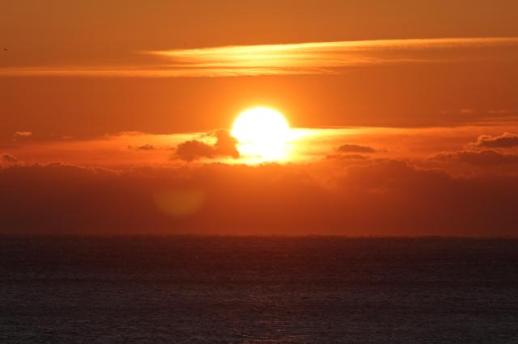 冬尽春生 稳中再启 韩中共迎2026丙午年