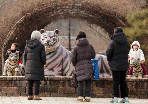 消息：韩国租借中方大熊猫有望2028年落户光州牛峙动物园