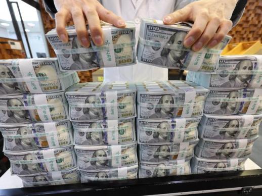  韓 환노출 달러자산, 외환시장 거래량의 25배…IMF 변동성 취약