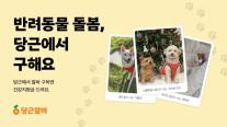 당근알바, 설 연휴 맞아 반려동물 돌봄 알바 프로모션 진행