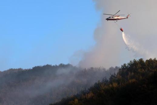 Gwangyang wildfire fully contained after 13-hour operation