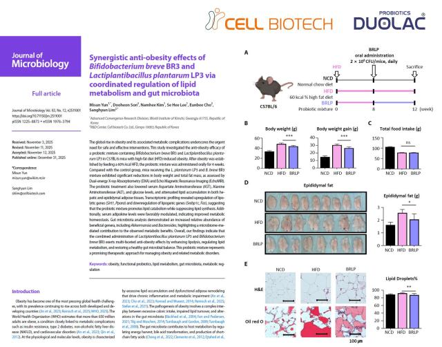 [데일리 바이오] 듀오락, CBT-LP3·CBT-BR3 복합 유산균으로 동물모델서 체중·체지방 감소 효과 확인 외