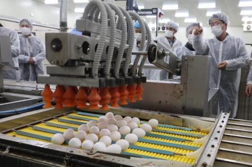 春节临近韩国畜产品价格普涨 政府扩大供应稳物价