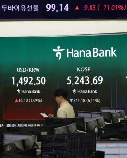 Seoul stocks and won in freefall on oil price surge