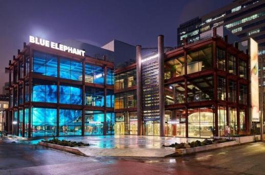 1mm 오차도 없었다…젠틀몬스터 데드카피 베낀 블루엘리펀트 구속기소