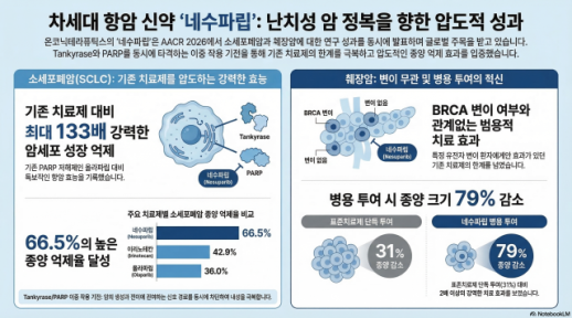 난공불락 췌장암·폐암 동시에 뚫었다…네수파립 글로벌 항암제 판도 흔든다